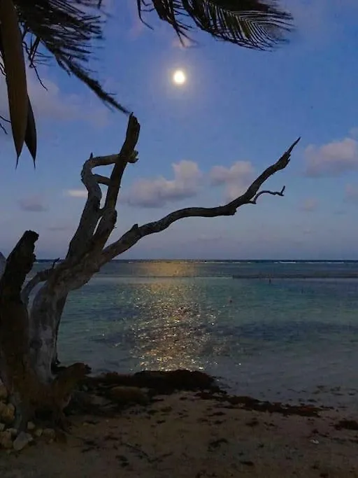 Holiday home Casita Colibri - An Eco Chic House Villa Mahahual