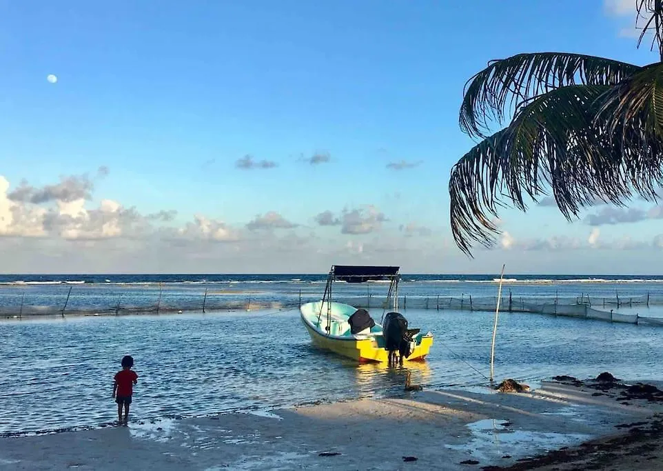Holiday home Casita Colibri - An Eco Chic House Villa Mahahual